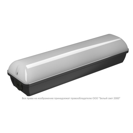 Светильник аварийный BS-METEOR-73-L2-INEXI3 5000К Black Белый свет a32266