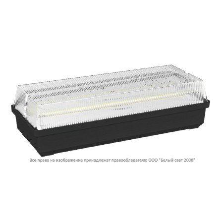 Светильник аварийный BS-UNIVERSAL-88-L3-STABILAR2 5000К Black Белый свет a32287