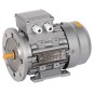 Электродвигатель АИС DRIVE 3ф 63C4 220/380В 0.25кВт 1500об/мин 2081 IEK AIS063-C4-000-3-1520