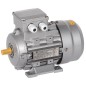 Электродвигатель АИС DRIVE 3ф 71B2 220/380В 0.55кВт 3000об/мин 1081 IEK AIS071-B2-000-6-3010 Электродвигатель АИС DRIVE 3ф 71B2 220/380В 0.55кВт 3000об/мин 1081 IEK AIS071-B2-000-6-3010