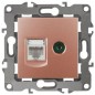 Розетка компьютерная + телевизионная Эра12 12-3110-14 RJ45 + TV IP20 медь Эра Б0027449