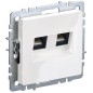 Розетка компьютерная двойная СП RJ45 кат.5E BRITE РК10-2-БрБ механизм бел. IEK BR-K20-1-K01 Розетка компьютерная двойная СП RJ45 кат.5E BRITE РК10-2-БрБ механизм бел. IEK BR-K20-1-K01