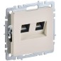 Розетка компьютерная двойная СП RJ45 кат.6 BRITE РК11-2-БрКр механизм беж. IEK BR-K20-2-K10