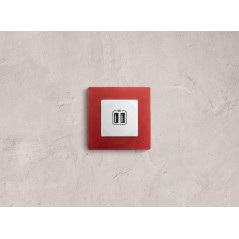 Розетка USB 2-м СП 2мод. Etika 240В/5В 2400мА механизм бел. Leg 672294