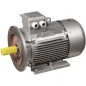 Электродвигатель АИР DRIVE 3ф 112MA8 220/380В 2.2кВт 750об/мин 2081 IEK DRV112-M8-002-2-0720 Электродвигатель АИР DRIVE 3ф 112MA8 220/380В 2.2кВт 750об/мин 2081 IEK DRV112-M8-002-2-0720