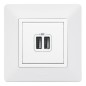 Розетка USB 2-м Valena Life 240В/5В 2400мА с лицев. панелью механизм бел. Leg 753412