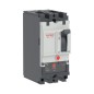 Выключатель автоматический YON pro MNX125M 2P 63А 100кА при AC240V расц. TMD DKC MNX125M2PTMD0063 Выключатель автоматический YON pro MNX125M 2P 63А 100кА при AC240V расц. TMD DKC MNX125M2PTMD0063