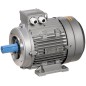Электродвигатель АИС 3ф 90LB2 380В 3кВт 3000об/мин 2181 ONI ONS090-B2-003-0-3021