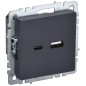 Розетка BRITE USB A+C 18Вт РЮ11-1-БрГ механизм графит IEK BR-U22-018-K53