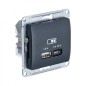 Розетка USB Glossa тип A+C 45Вт QC PD высокоскор. ЗУ механизм антрацит SE GSL000729 Розетка USB Glossa тип A+C 45Вт QC PD высокоскор. ЗУ механизм антрацит SE GSL000729