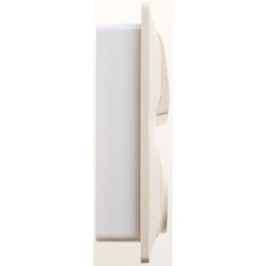 Блок комбинированный Glossa (розетка + 2-кл. выкл.) беж. SE GSL000272