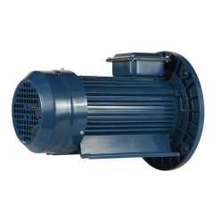 Электродвигатель 5АИ 90 LB8 1.1/750 IM2081 Элком 01.01.213637