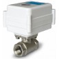 Кран с электроприводом МК 12В 3/4 Neptun 100035496300