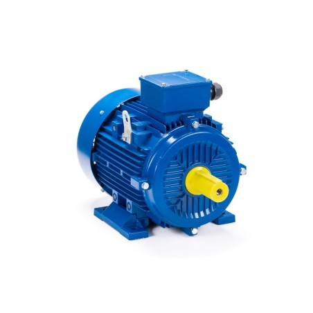 Электродвигатель асинхронный 180L4-SDN- IM B3 22/1500 ESQ 01.05.221587