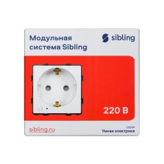 Розетка в рамку умная (47х47мм) бел. Sibling 00-01018305