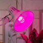 Лампа светодиодная FITO-12W-RB-E27-K 12Вт A60 грушевидная прозрачная 1310К E27 130-270В для растений красн./син. спектр Эра Б003