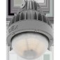 Светильник светодиодный ZENITH LED 30 D270 G Ex G2 СТ 1226000730