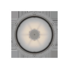 Светильник светодиодный ZENITH LED 30 D270 G Ex G2 СТ 1226000730
