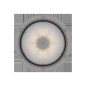Светильник светодиодный ZENITH LED 30 D270 G Ex G2 СТ 1226000730