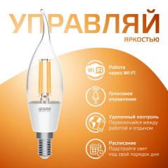 Лампа светодиодная умная Smart Home 4.5Вт свеча на ветру 2700К тепл. бел. E14 495лм диммир. управление по Wi-Fi GAUSS 1260112
