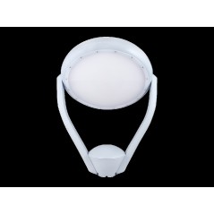 Светильник светодиодный Meduza Park 28/3500 Д opal 28Вт 5000К IP66 3500лм 0.95PF 70Ra Кп«1 Diora DMP28D-O-5K