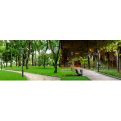 Светильник светодиодный Meduza Park 60/9000 Д прозр. 60Вт 4000К IP66 9000лм 0.95PF 70Ra Kп«1 Diora DMP60D-PZ-4K