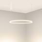 Светильник светодиодный SP-CONGO-MULT-1-R800-42W Day4000 (WH 120 deg 230В) IP20 металл Arlight 046245 Светильник светодиодный SP-CONGO-MULT-1-R800-42W Day4000 (WH 120 deg 230В) IP20 металл Arlight 046245