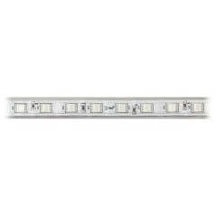 Лента светодиодная LS5050-14.4-60-220-RGB-IP67-20m разноцвет. (уп.20м) Эра Б0043097