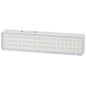Светильник светодиодный DBA-103-0-20 60LED 5ч IP20 аварийный непостоянный Эра Б0044396
