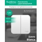 Выключатель 2-кл. ОП Blanca 6А IP20 (сх. 5) 250В с изолир. пластиной бел. SE BLNVA065011