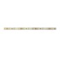 Лента светодиодная PLS PRO 2835/168-24В 6000К IP20 (уп.5м) Pro JazzWay 5015777
