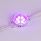 Модуль управляемый SPI-F6-D40 24V RGB-RAM-Auto (1.25Вт IP68 120 deg) (пластик ) Arlight 036828