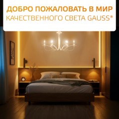 Лампа светодиодная филаментная Filament Elementary 8Вт шар 2700К Е14 510лм GAUSS 52118