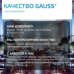 Лампа светодиодная филаментная Filament Elementary 12Вт шар 4100К Е14 750лм GAUSS 52122