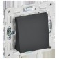 Вывод кабеля SKANDY SK-O01G графит IEK SK-VK10-0-K53 Вывод кабеля SKANDY SK-O01G графит IEK SK-VK10-0-K53