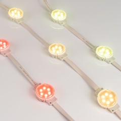 Модуль управляемый SPI-F6-D40 24V RGB-RAM-Auto (1.25Вт IP68 120 deg) (пластик ) Arlight 036828