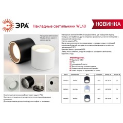 Светильник настенно-потолочный спот WL40 BK GX53 IP54 черн. Эра Б0054414