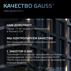 Прожектор светодиодный Qplus 30Вт 6500К IP65 3150лм 200-240В ДО графит. GAUSS 690511330
