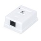 Розетка компьютерная WS-8P8C-Cat.6-1 RJ-45(8P8C) кат.6 одинарная внешняя Dual IDC Cabeus 7481c Розетка компьютерная WS-8P8C-Cat.6-1 RJ-45(8P8C) кат.6 одинарная внешняя Dual IDC Cabeus 7481c