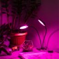Светильник светодиодный FITO-20W-АLED-R 20Вт для растений красн./син. спектр на прищепке черн. Эра Б0053290