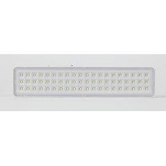 Светильник светодиодный DBA-103-0-20 60LED 5ч IP20 аварийный непостоянный Эра Б0044396