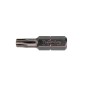 Бита Torх TR 25х25 Industrial (уп.10шт) FELO 02725010