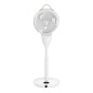 Вентилятор напольный EFF-1030W Electrolux НС-1602095 Вентилятор напольный EFF-1030W Electrolux НС-1602095