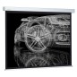 Экран 213х213см Wallscreen CS-PSW-213x213 1:1 настенно-потолочный рулонный бел. CACTUS 359031 Экран 213х213см Wallscreen CS-PSW-213x213 1:1 настенно-потолочный рулонный бел. CACTUS 359031