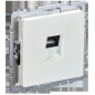 Розетка компьютерная СП RJ45 кат.5E BRITE РК10-БрЖ механизм жемчуж. IEK BR-K10-1-K36
