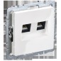 Розетка компьютерная двойная СП RJ45 кат.5E BRITE РК10-2-БрБ механизм бел. IEK BR-K20-1-K01 Розетка компьютерная двойная СП RJ45 кат.5E BRITE РК10-2-БрБ механизм бел. IEK BR-K20-1-K01