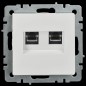 Розетка компьютерная двойная СП RJ45 кат.5E BRITE РК10-2-БрБ механизм бел. IEK BR-K20-1-K01 Розетка компьютерная двойная СП RJ45 кат.5E BRITE РК10-2-БрБ механизм бел. IEK BR-K20-1-K01