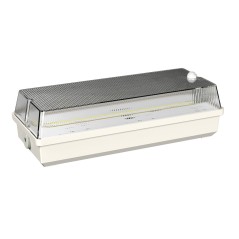 Светильник аварийный BS-UNIVERSAL-53-L1-INEXI2 3000К DD01 Белый Свет a30013