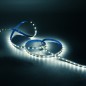 Лента светодиодная Basic 5050/60-SMD 8Вт/м 4000К нейтр. бел. IP20 900лм/м 12В 10мм (уп.2м) GAUSS BT021 Лента светодиодная Basic 5050/60-SMD 8Вт/м 4000К нейтр. бел. IP20 900лм/м 12В 10мм (уп.2м) GAUSS BT021