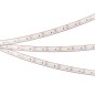 Лента светодиодная RTW-PS-A120-10mm 12V Warm 2700К 2835 9.6Вт/м IP67 герметичная (уп.5м) Arlight 028547(2)